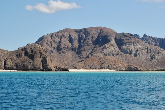 Espiritu Santo Island Tour - Final Thoughts