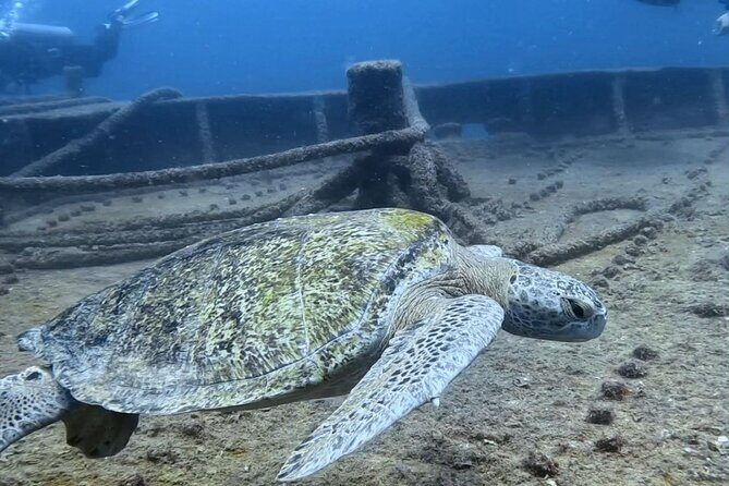 Espiritu Santo Private SCUBA Tour for Beginners - Practical Considerations and Tips