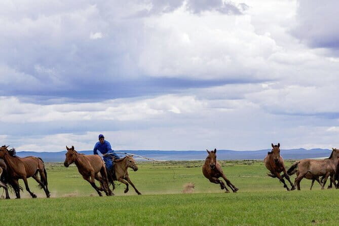Essence of Mongolia 5 Days - Key Points