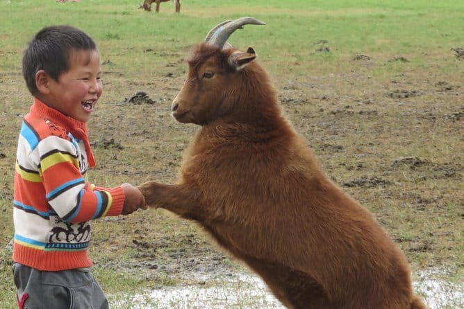 Essence of Mongolia 5 Days - An In-Depth Look at the 5-Day Experience