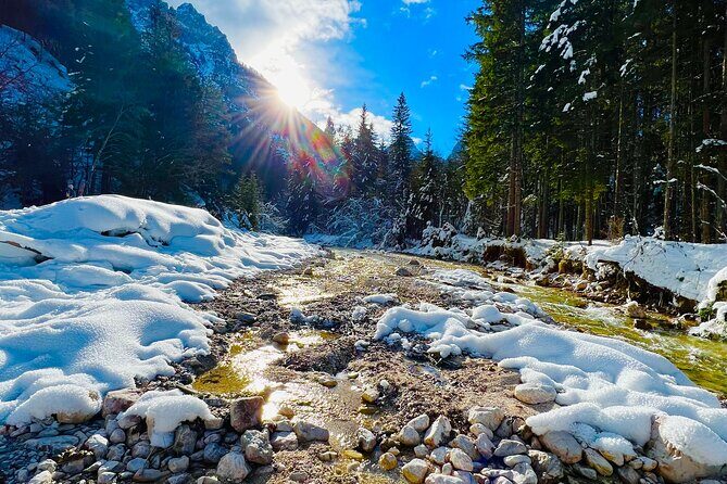 Essence of Slovenia Private Photoshoot Experience - Key Points