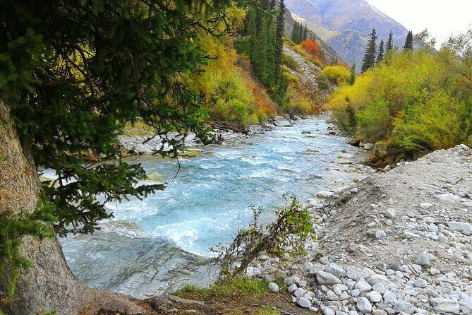 Essential Day Trip to Ala Archa National Park - Lunch and Cultural Flavors