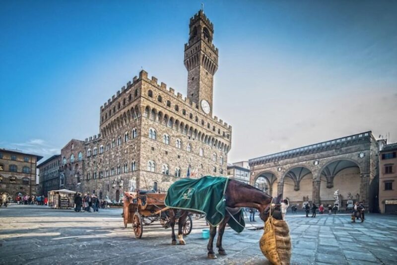 Essential Florence Walking Tour to discover its history - A Deep Dive into the Experience