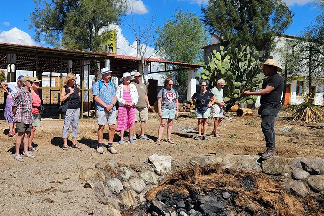 Essential Oaxaca:Tule, Tlacochahuaya, Teotitlán del Valle, Mezcal - Introduction: An Honest Look at the Experience