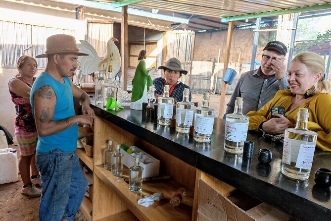 Essential Oaxaca:Tule, Tlacochahuaya, Teotitlán del Valle, Mezcal - Who Will Love This Tour?