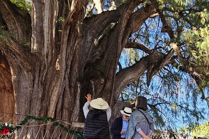 Essential Oaxaca:Tule, Tlacochahuaya, Teotitlán del Valle, Mezcal - The Sum Up: Who Should Consider This Tour?
