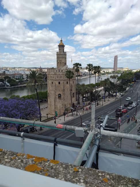 Essential Seville with Tapas: Santa Cruz, Plaza de España, and Local Flavors - Key Points