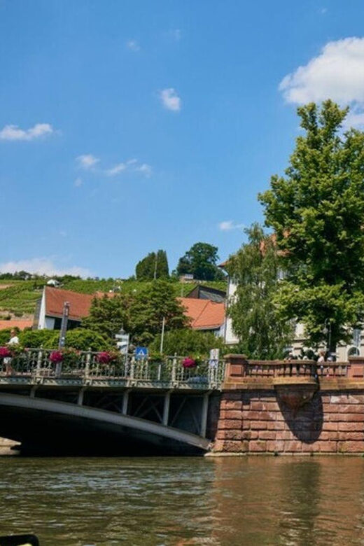 Esslingen am Neckar: guided city tour (english) - The Sum Up