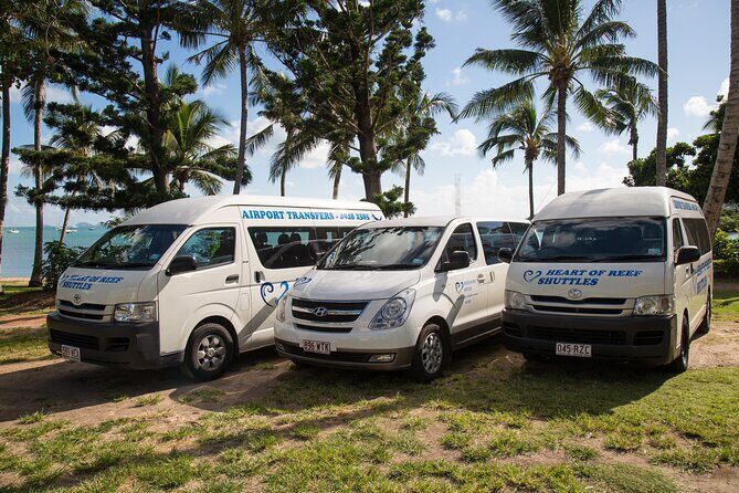 Established Return Airport Transfer Proserpine to Airlie Beach - Why Choose This Airport Transfer?