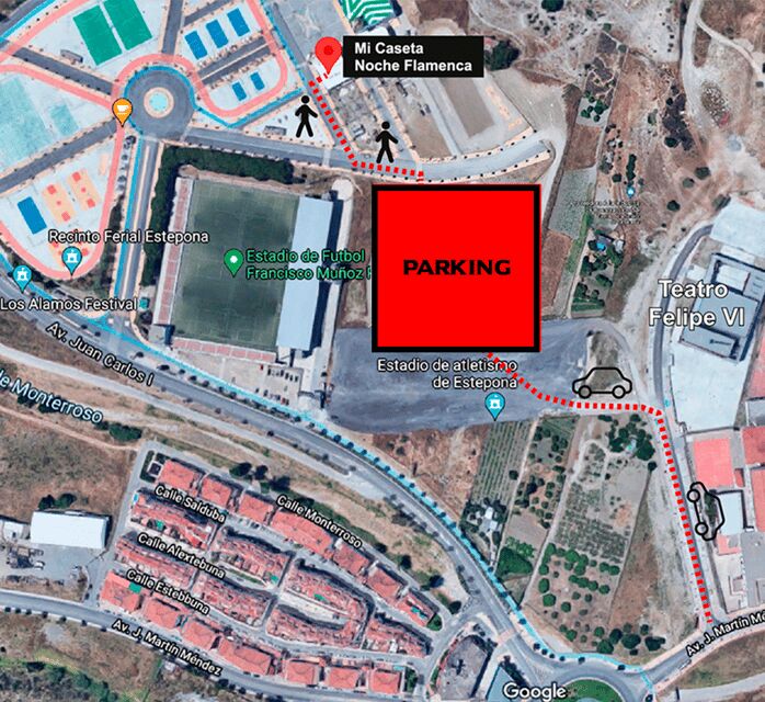 Estepona: Andalusian Flamenco Show Entry Ticket with Drink - Practical Tips for Your Visit