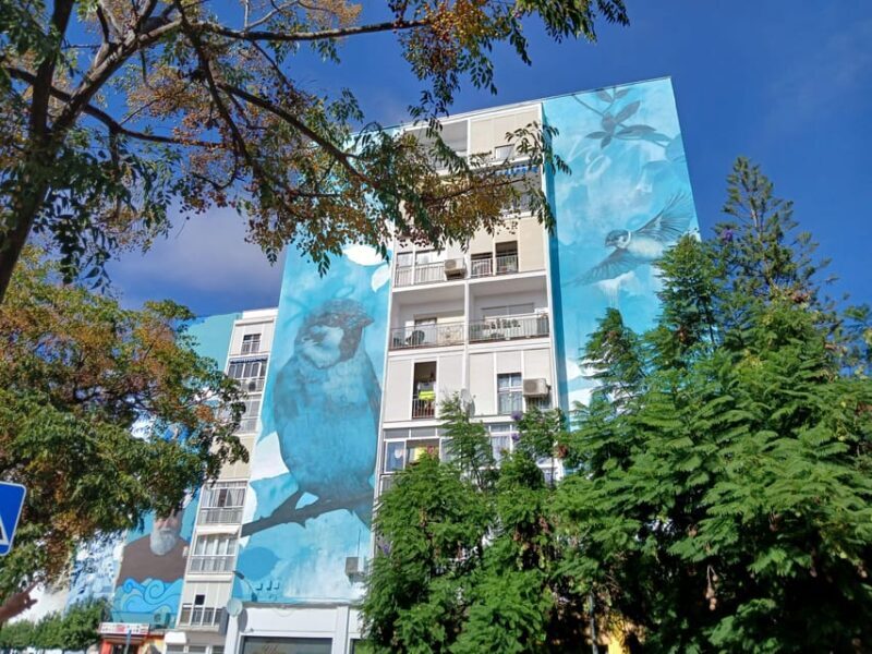 Estepona Art Murals and Tapas Walk with Local Guide - Key Points