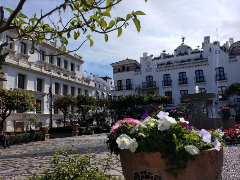 Estepona Art Murals and Tapas Walk with Local Guide - Who Should Consider This Tour?