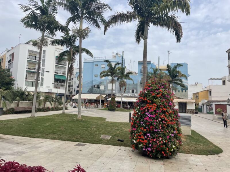 Estepona Bike Tour - Detailed Breakdown of the Itinerary