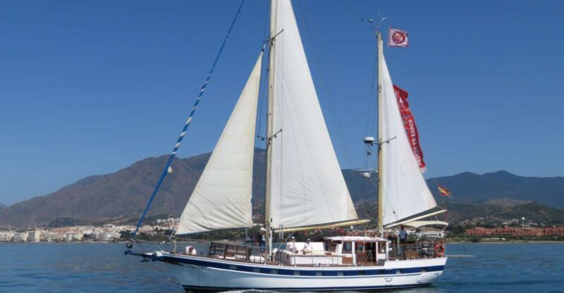 Estepona: Dolphin Watching Sailboat Cruise with Drink - Key Points