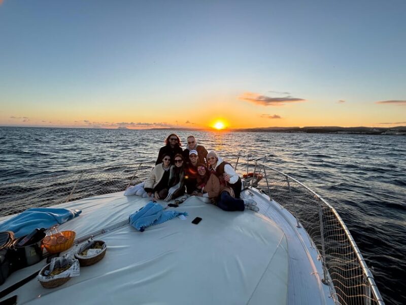 Estepona: Dolphins Searching Sea Cruise with Drink & Snacks - Key Points