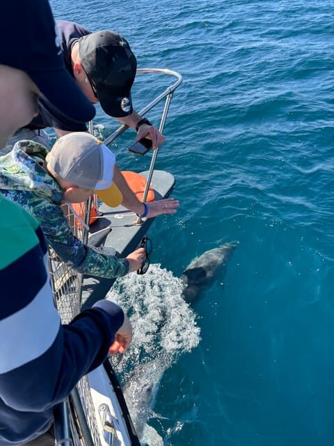 Estepona: Dolphins Searching Sea Cruise with Drink & Snacks - Why This Tour Stands Out