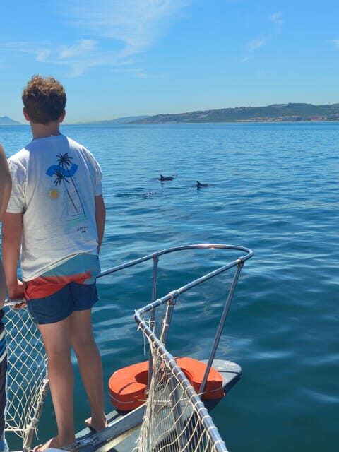 Estepona: Dolphins Searching Sea Cruise with Drink & Snacks - Detailed Breakdown of the Experience