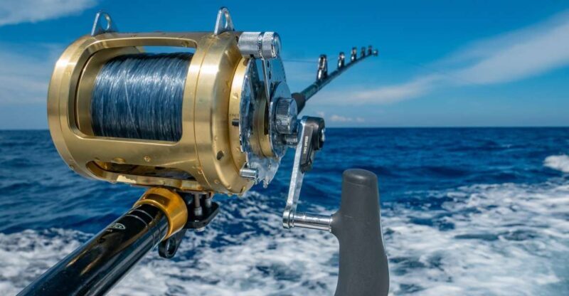 Estepona: Fishing Tour StartFisher 1060 - An In-Depth Look at the Estepona Fishing Tour