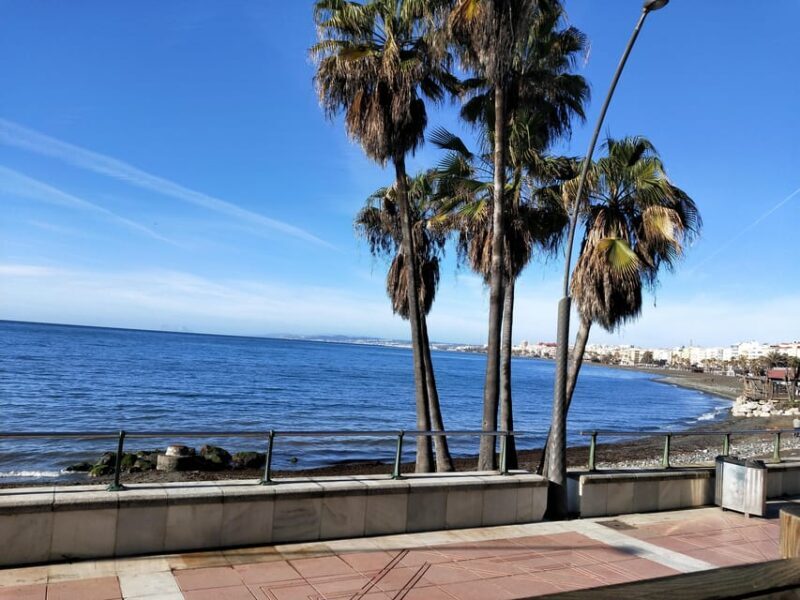 Estepona Walking Tour - City History, Culture & Gastronomy - Key Points
