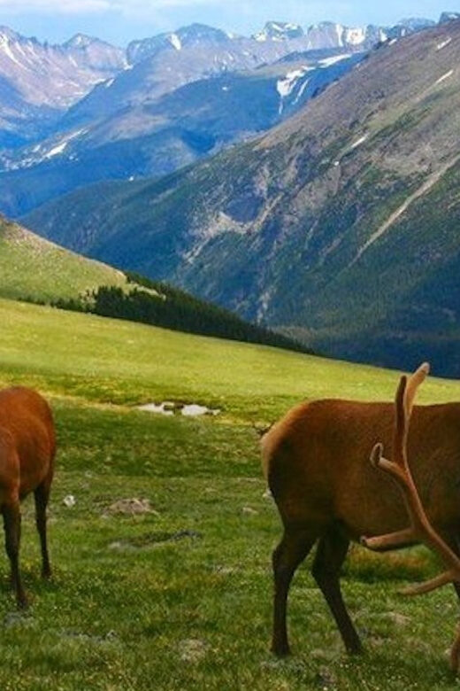 Estes Park: Bear Lake Corridor Tour - The Sum Up