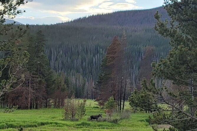 Estes Park Off Road 4x4 Jeep Adventure Tour - The Practical Details