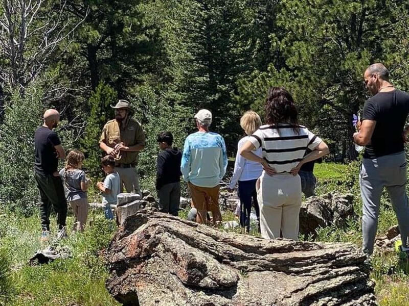 Estes Park: Off-Road Rock'n Roller Coaster Adventure Tour - Weather & Gear