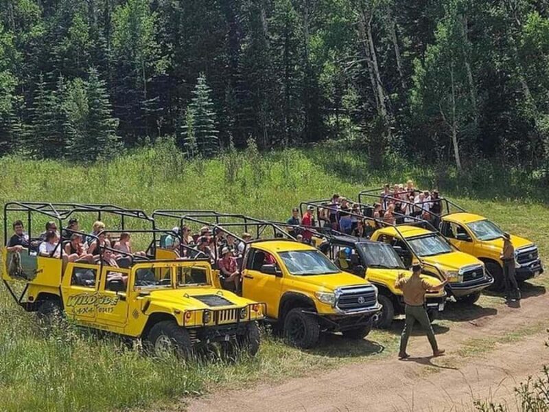 Estes Park: Off-Road Rock'n Roller Coaster Adventure Tour - Practical Details & Considerations