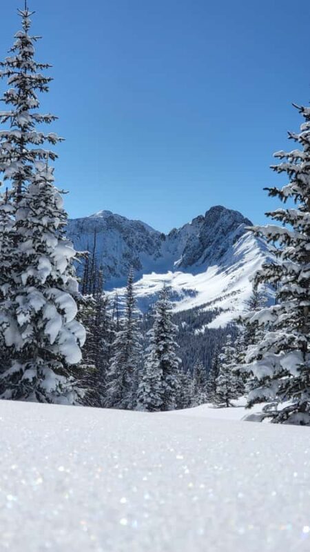 Estes Park: Rocky Mountain National Park Snowshoeing Tour - Who Should Consider This Tour?