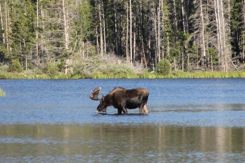 Estes Park: Waterfall Hiking Tour - Who Will Enjoy This Tour?