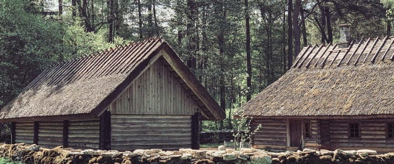 Estonian Open Air Museum Cultural VIP tour from Tallinn - Who Is This Tour Best Suited For?