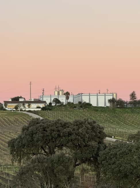Estremoz, Alentejo, Portugal: Wine tour & Wine tasting - Key Points