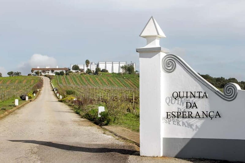 Estremoz, Alentejo, Portugal: Wine tour & Wine tasting - Accessibility and Convenience
