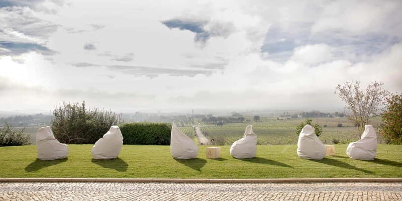 Estremoz, Alentejo, Portugal: Wine tour & Wine tasting - Who Will Enjoy This?