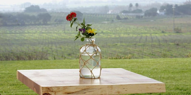 Estremoz, Alentejo, Portugal: Wine tour & Wine tasting - A Deep Dive into the Experience