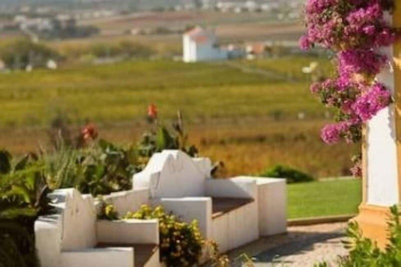 Estremoz, Alentejo, Portugal: Wine tour & Wine tasting - The Sum Up: Is This Tour Right for You?