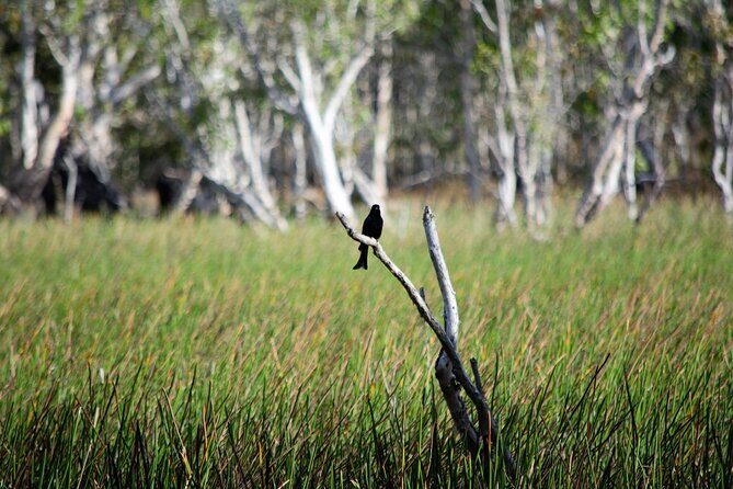 ETHICAL ADVENTURES - 1 Day premium Litchfield tour, small group - An In-Depth Look at the Tour Experience