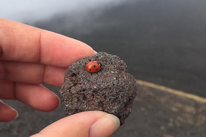 Etna and Wines Tour - First Impressions: What the Tour Offers