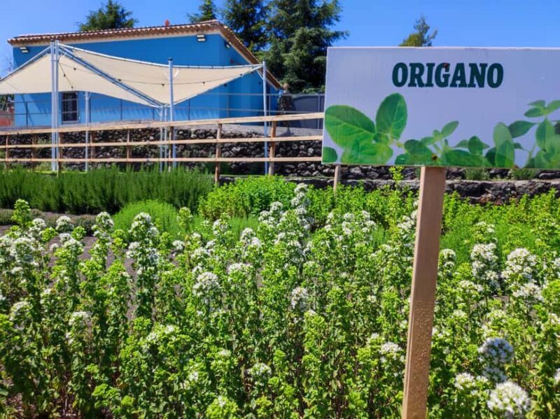 Etna Aromatic Experience: Scents of Sicily and Signature Flavors - Final Thoughts: The Best Fit for This Experience