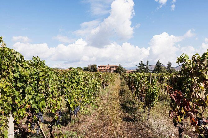 Etna DOC & Organic Wine tasting and tour of the 1815 historic winery - Final Thoughts