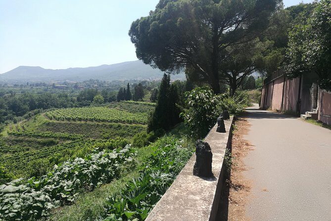 Etna Excursion and Lunch - Wine Tasting in Etna DOC Vinery - A Deep Dive into the Experience