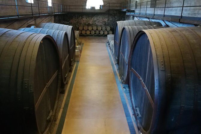 Etna Excursion and Lunch - Wine Tasting in Etna DOC Vinery - FAQs