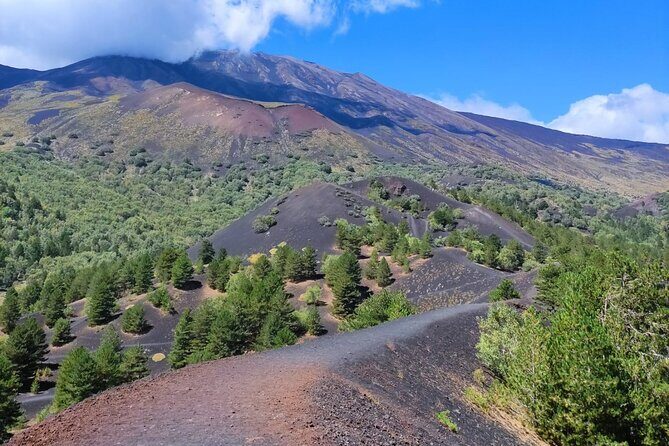 Etna Morning Tour, caves and craters - Who Is This Tour Best For?