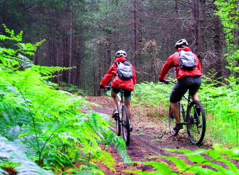 Etna: Mountain Bike or E-Bike Tour on Mount Etna - Key Points