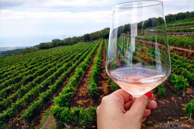 Etna panoramic private tour+Wine taste&food combination(AMAZING) - An in-depth look at the Etna Panoramic Tour