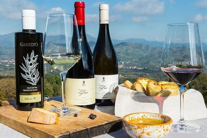 Etna panoramic private tour+Wine taste&food combination(AMAZING) - The Sum Up