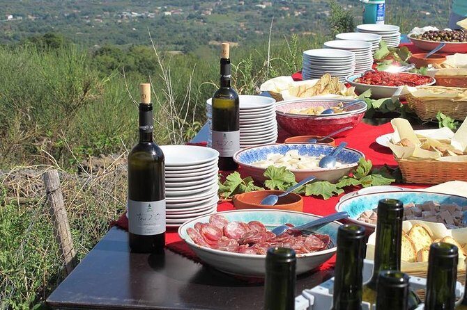 Etna Private tour from Messina Cruise Terminal + Lunch at Winery - Practical Details and Considerations