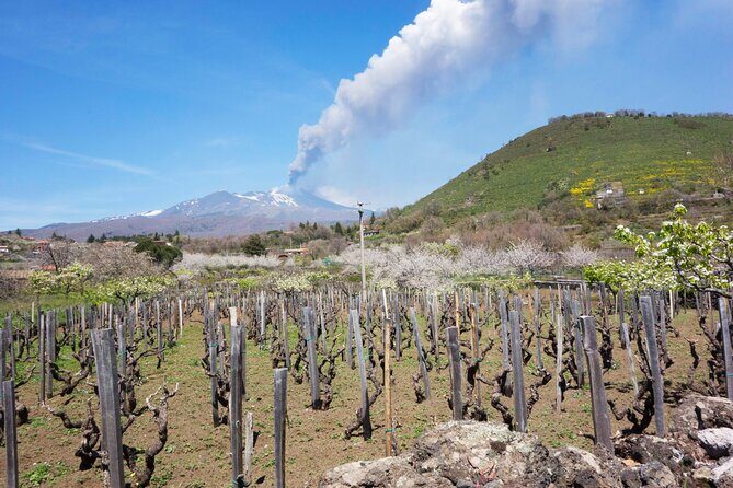Etna Private tour from Messina Cruise Terminal + Lunch at Winery - Who Will Love This Tour?