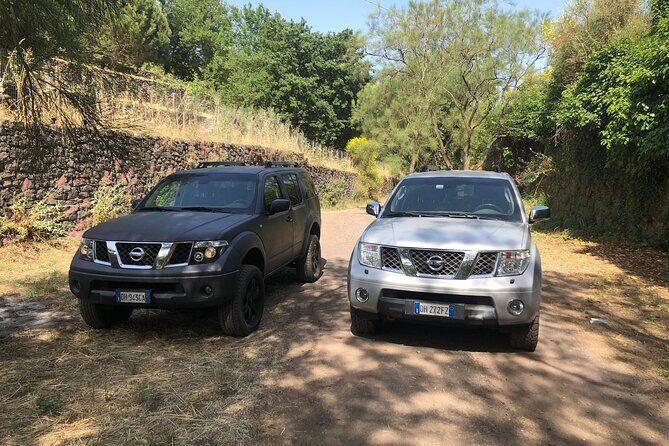 Etna private tour in 4x4 & Sicilian food farm experience - Discovering Mount Etna in Depth