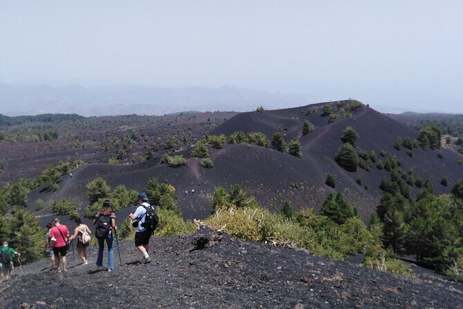Etna private tour with wine cellar gambino lunch and wine tasting - An In-Depth Look at the Itinerary