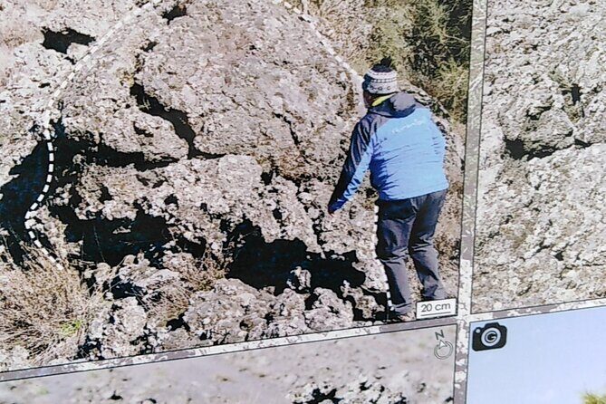 Etna private tour with wine cellar gambino lunch and wine tasting - Value and Overall Experience